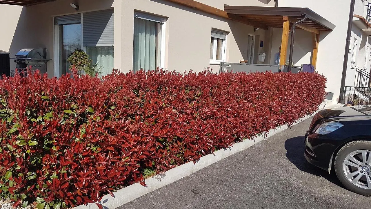 Zagar Apartment With Jacuzzi Porec